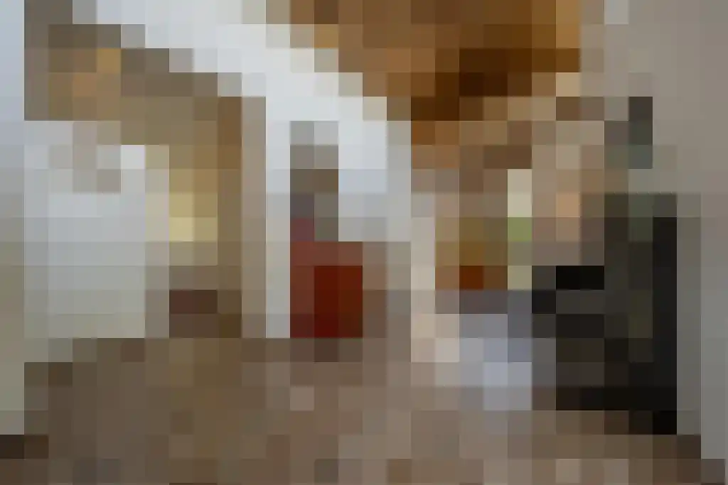 Everocken 29 Mijnsheerenland thumbnail 20