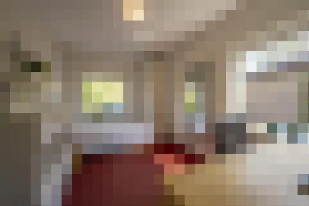 Everocken 29 Mijnsheerenland thumbnail 29