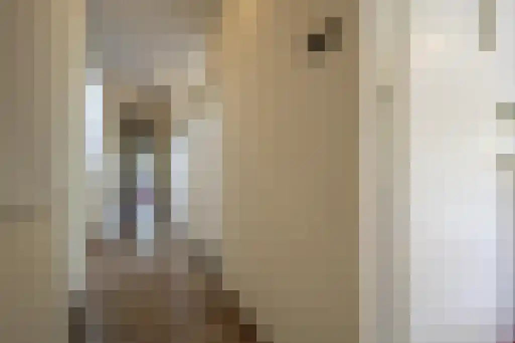 Everocken 29 Mijnsheerenland thumbnail 32