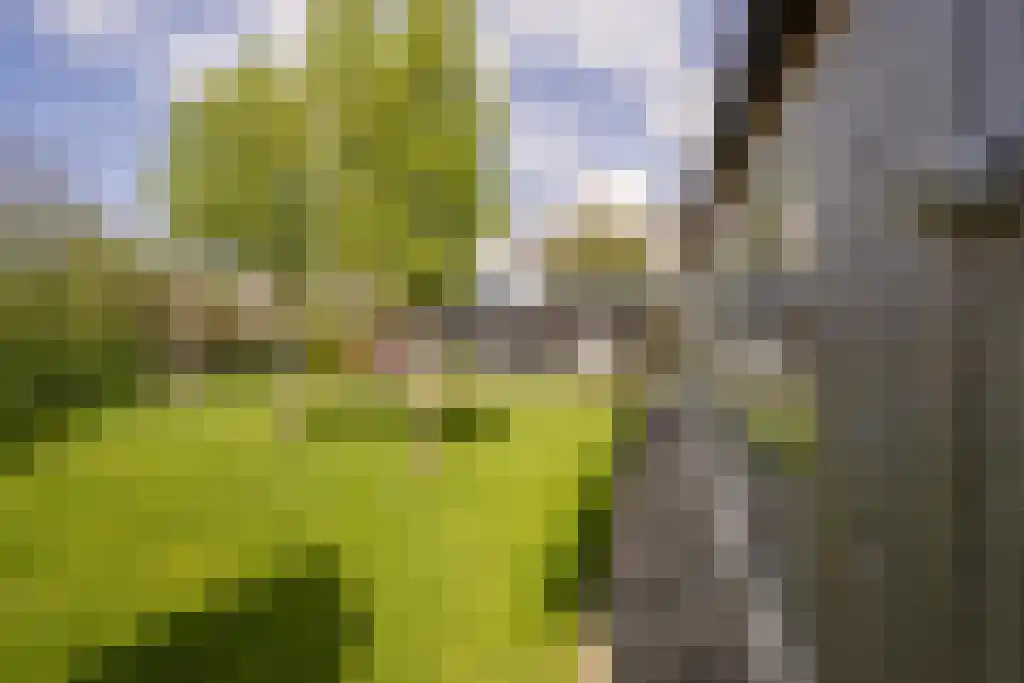 Everocken 29 Mijnsheerenland thumbnail 36