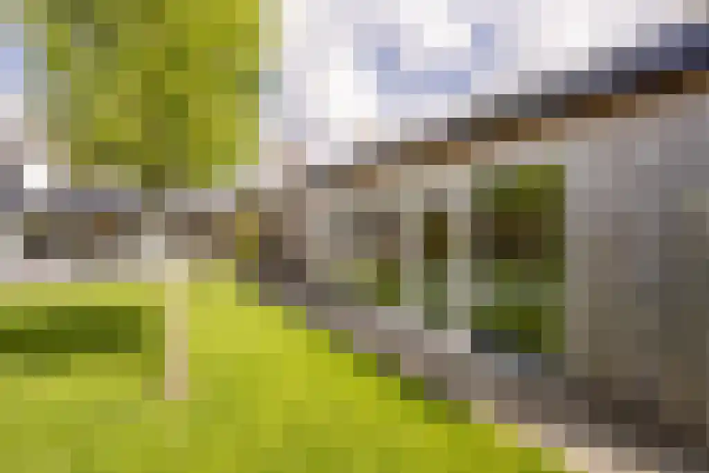 Everocken 29 Mijnsheerenland thumbnail 37