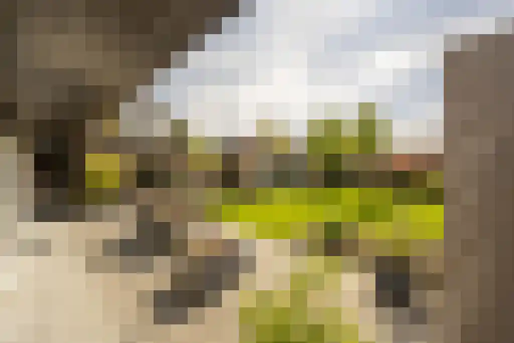 Everocken 29 Mijnsheerenland thumbnail 4