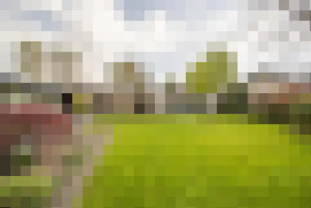 Everocken 29 Mijnsheerenland thumbnail 40