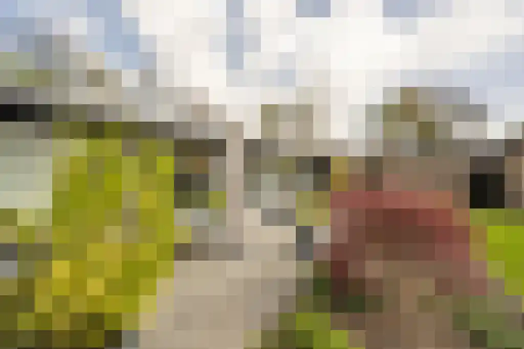 Everocken 29 Mijnsheerenland thumbnail 41