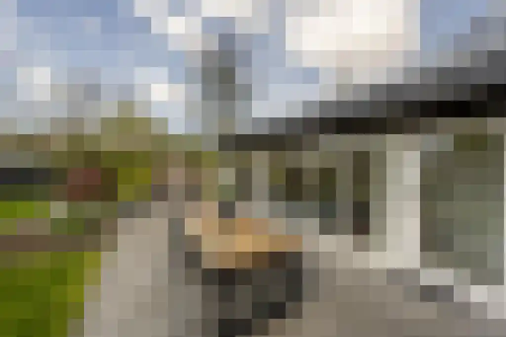 Everocken 29 Mijnsheerenland thumbnail 42
