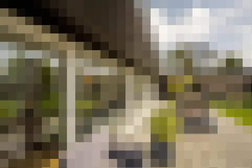Everocken 29 Mijnsheerenland thumbnail 44