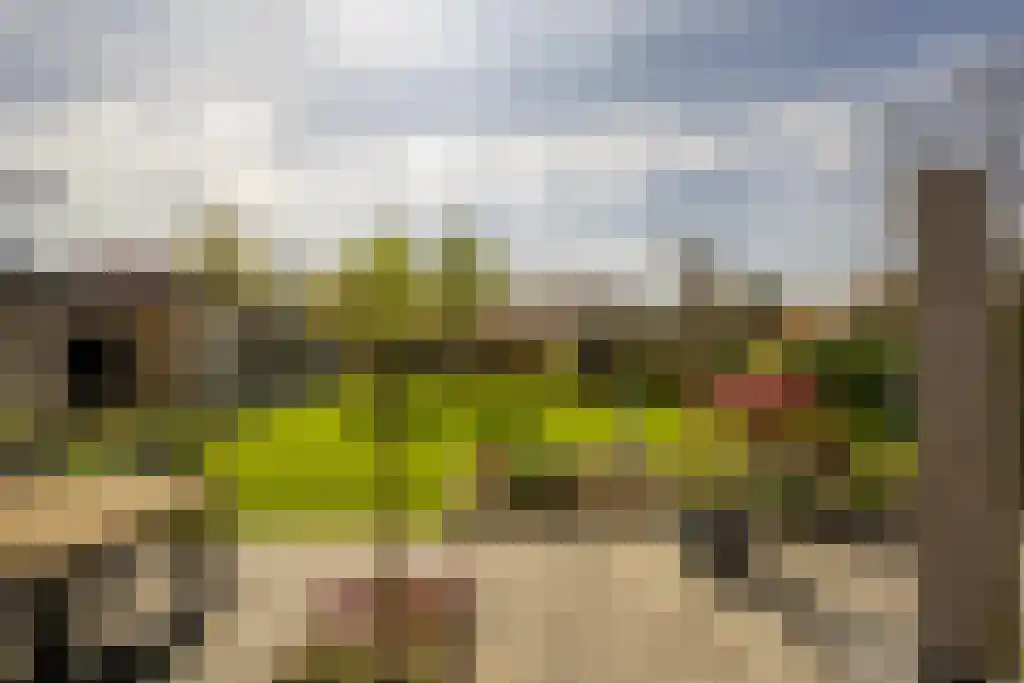 Everocken 29 Mijnsheerenland thumbnail 45