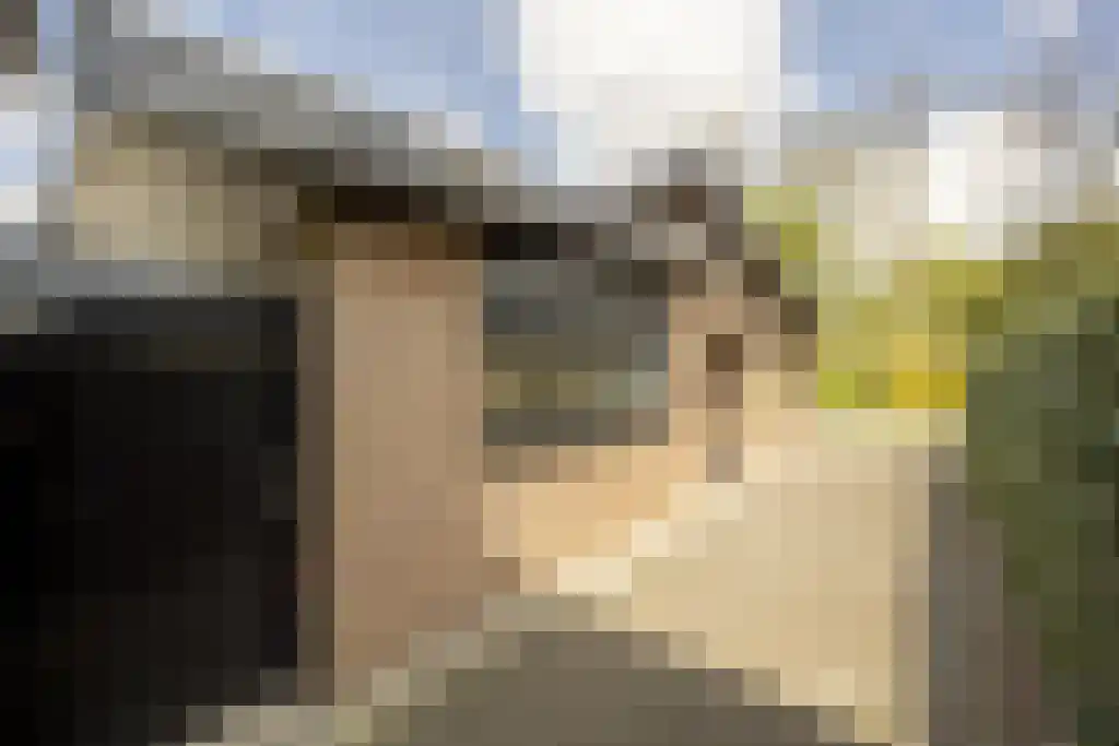 Everocken 29 Mijnsheerenland thumbnail 46