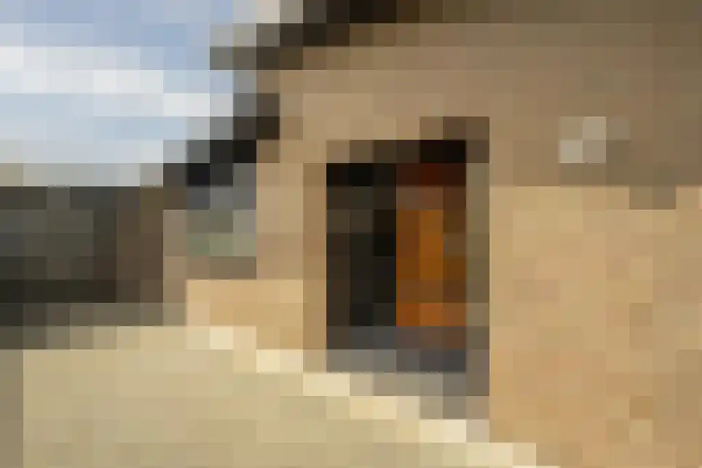 Everocken 29 Mijnsheerenland thumbnail 47