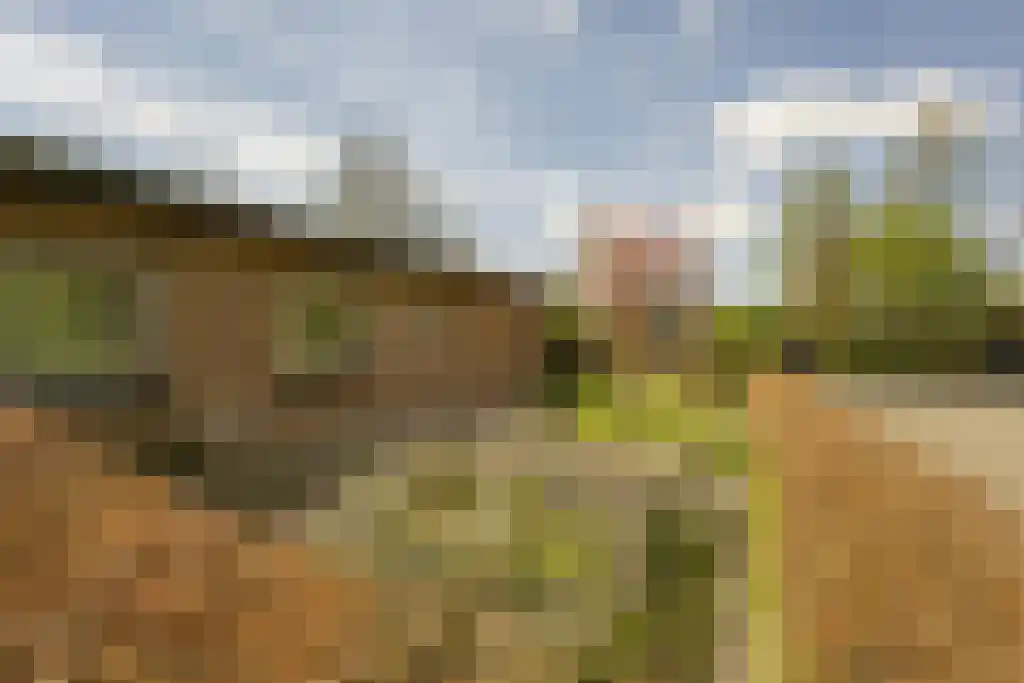 Everocken 29 Mijnsheerenland thumbnail 49