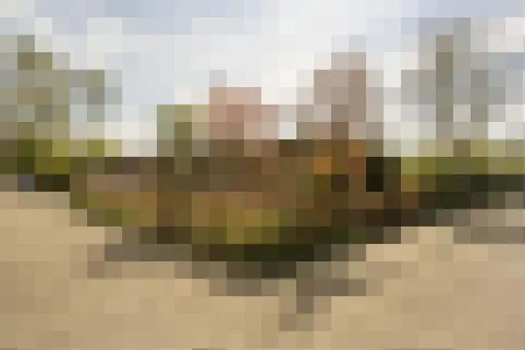Everocken 29 Mijnsheerenland thumbnail 50