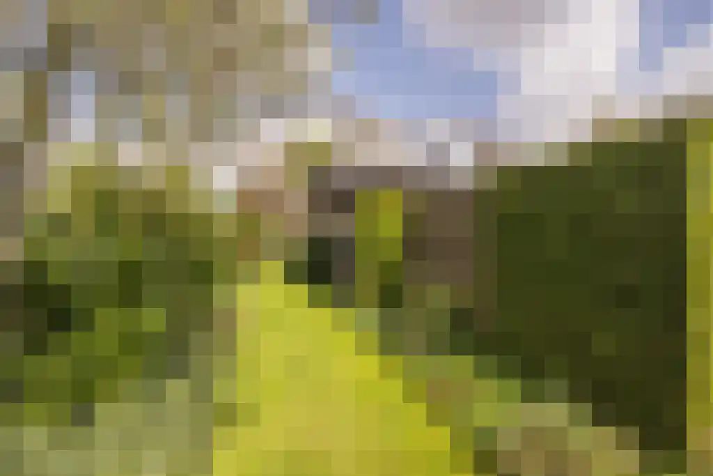 Everocken 29 Mijnsheerenland thumbnail 51