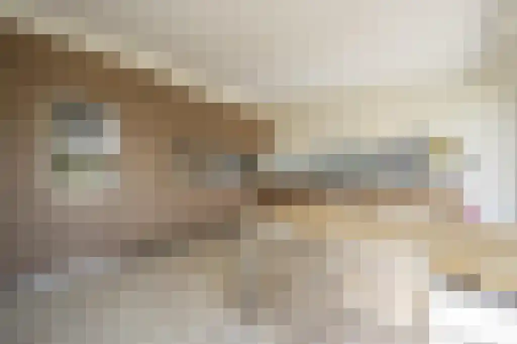 Everocken 29 Mijnsheerenland thumbnail 9