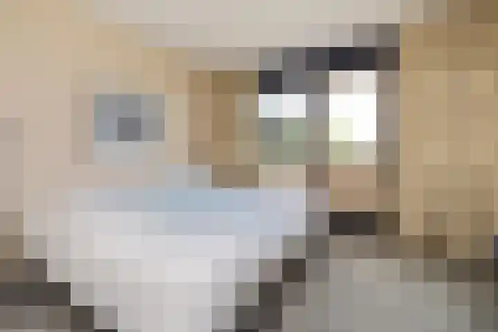 Eversberg 21 Raalte thumbnail 15