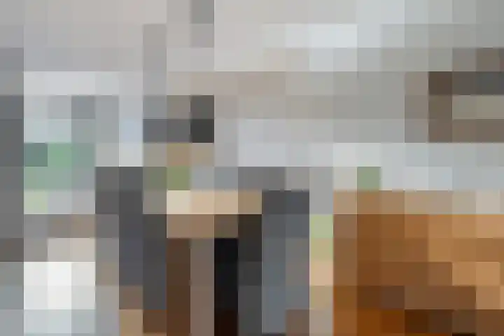 Eversberg 5 Raalte thumbnail 14