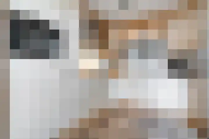 Eversberg 5 Raalte thumbnail 16