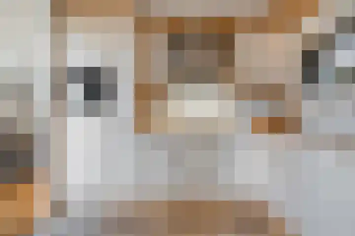 Eversberg 5 Raalte thumbnail 18