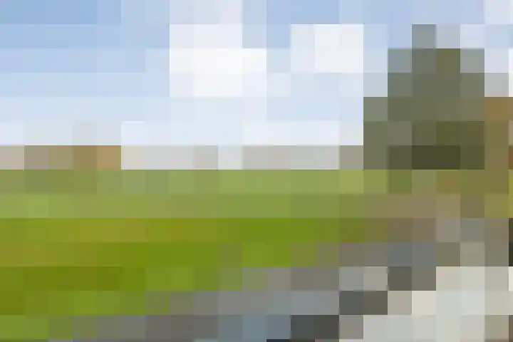 Eversberg 5 Raalte thumbnail 25