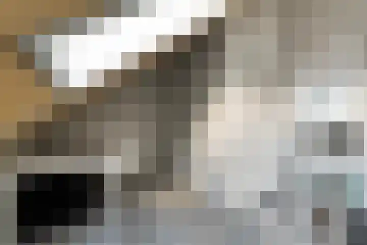 Eversberg 5 Raalte thumbnail 34