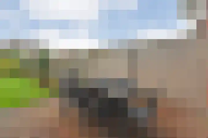 Eversberg 5 Raalte thumbnail 41
