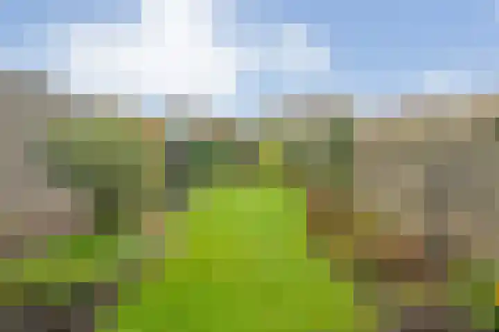 Eversberg 5 Raalte thumbnail 43