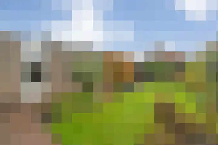 Eversberg 5 Raalte thumbnail 44