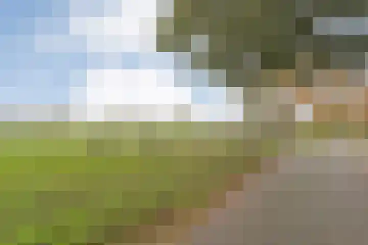 Eversberg 5 Raalte thumbnail 51