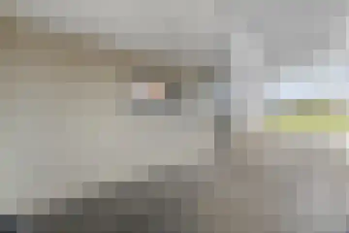 Eversberg 5 Raalte thumbnail 7