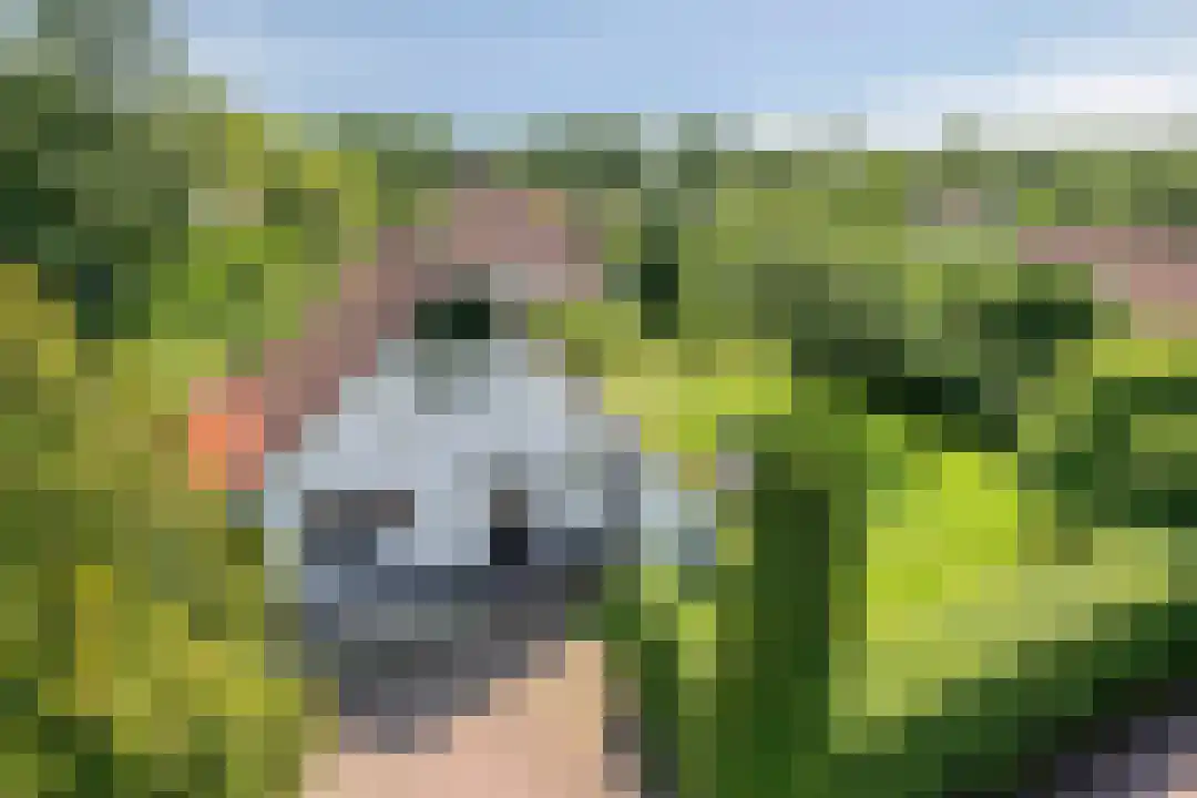 Eversdijk 6 a Z106 Enter thumbnail 30