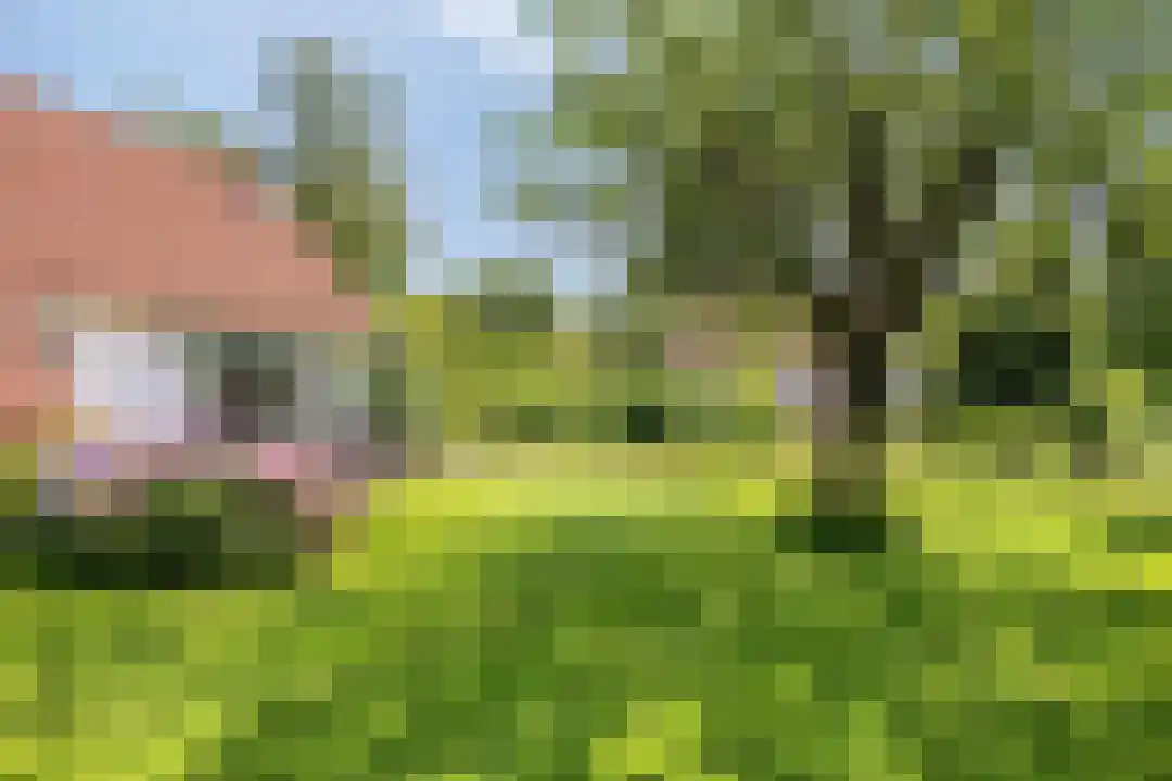 Eversdijk 6 a Z106 Enter thumbnail 35