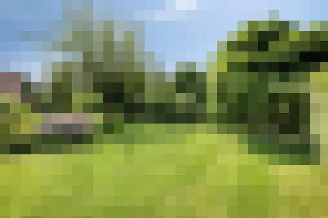 Eversdijk 6 a Z106 Enter thumbnail 38