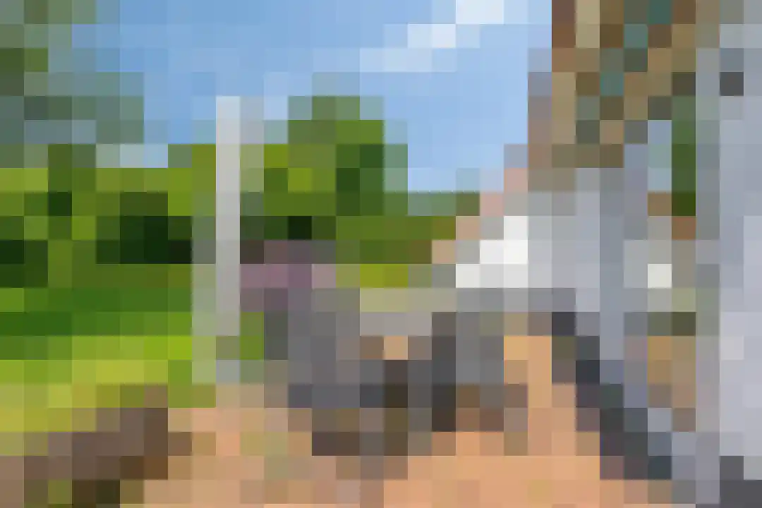 Eversdijk 6 a Z106 Enter thumbnail 39