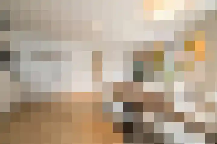 Eversdijk 6 a Z117 Enter thumbnail 9