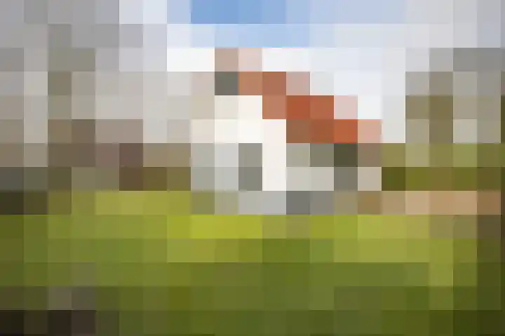 Eversdijk 6 a ZH21 Enter thumbnail 30