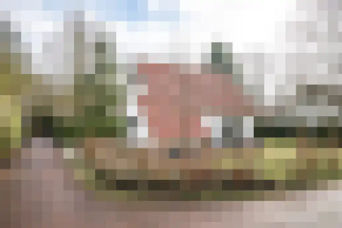 Eversdijk 6 a ZH21 Enter thumbnail 31