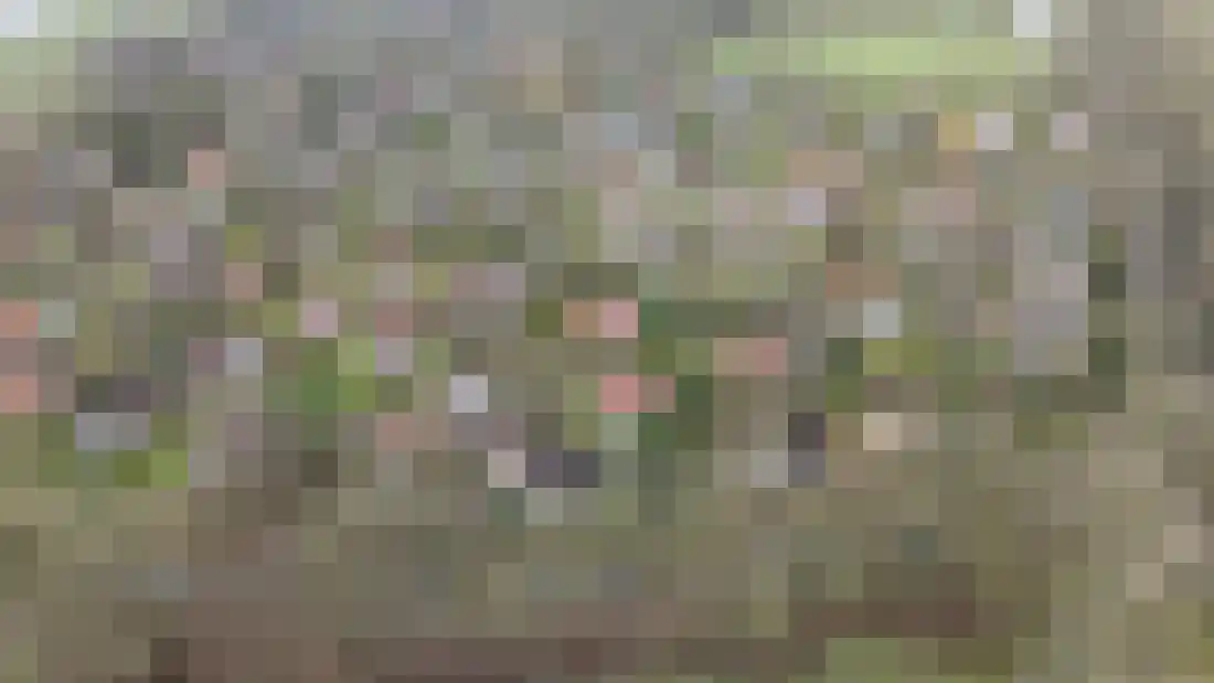 Eversdijk 6 a ZH21 Enter thumbnail 33