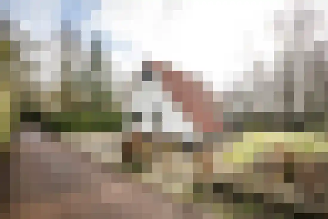 Eversdijk 6 a ZH21 Enter thumbnail 6