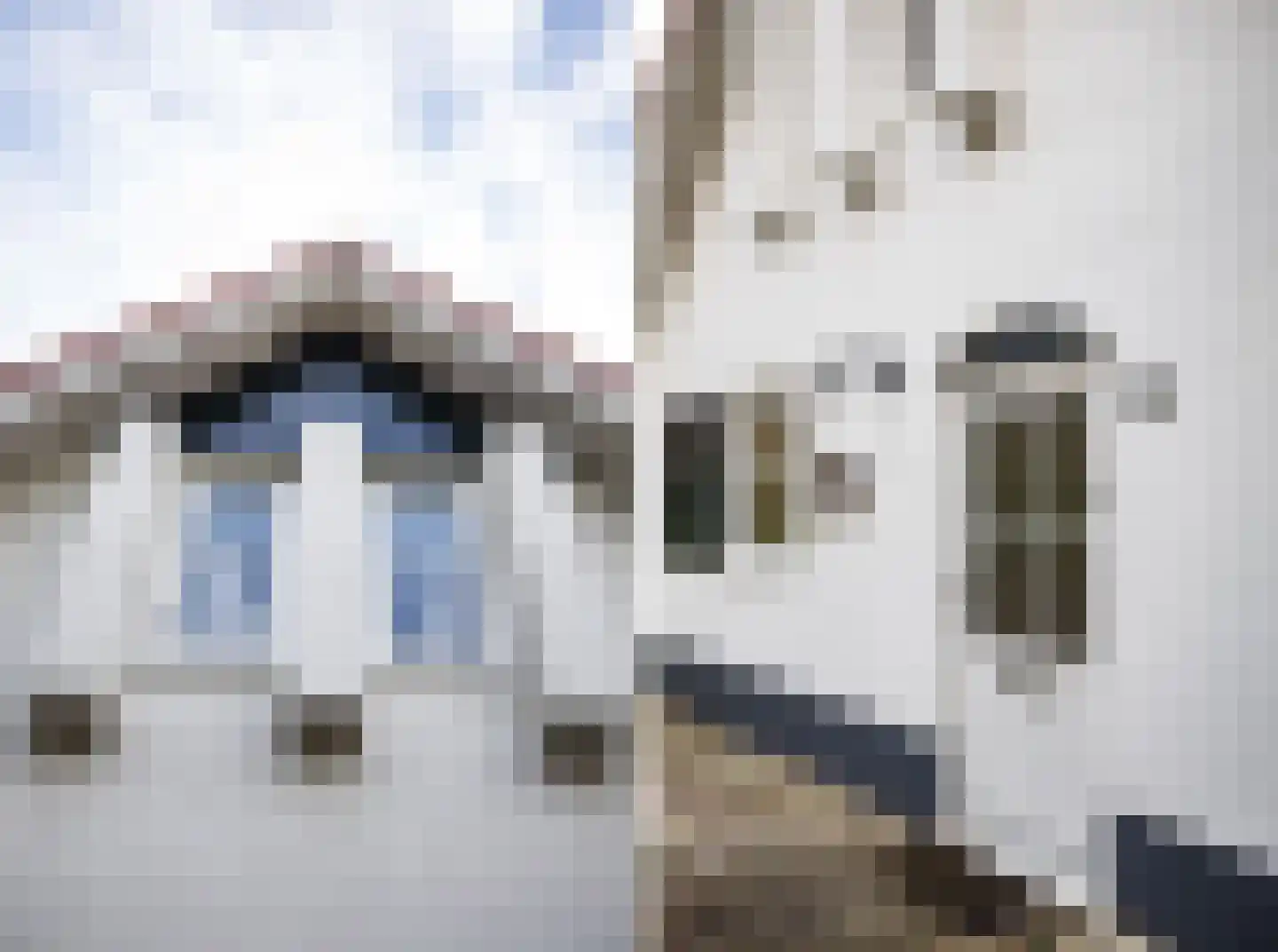Eversdijk 6 a ZH21 Enter thumbnail 8