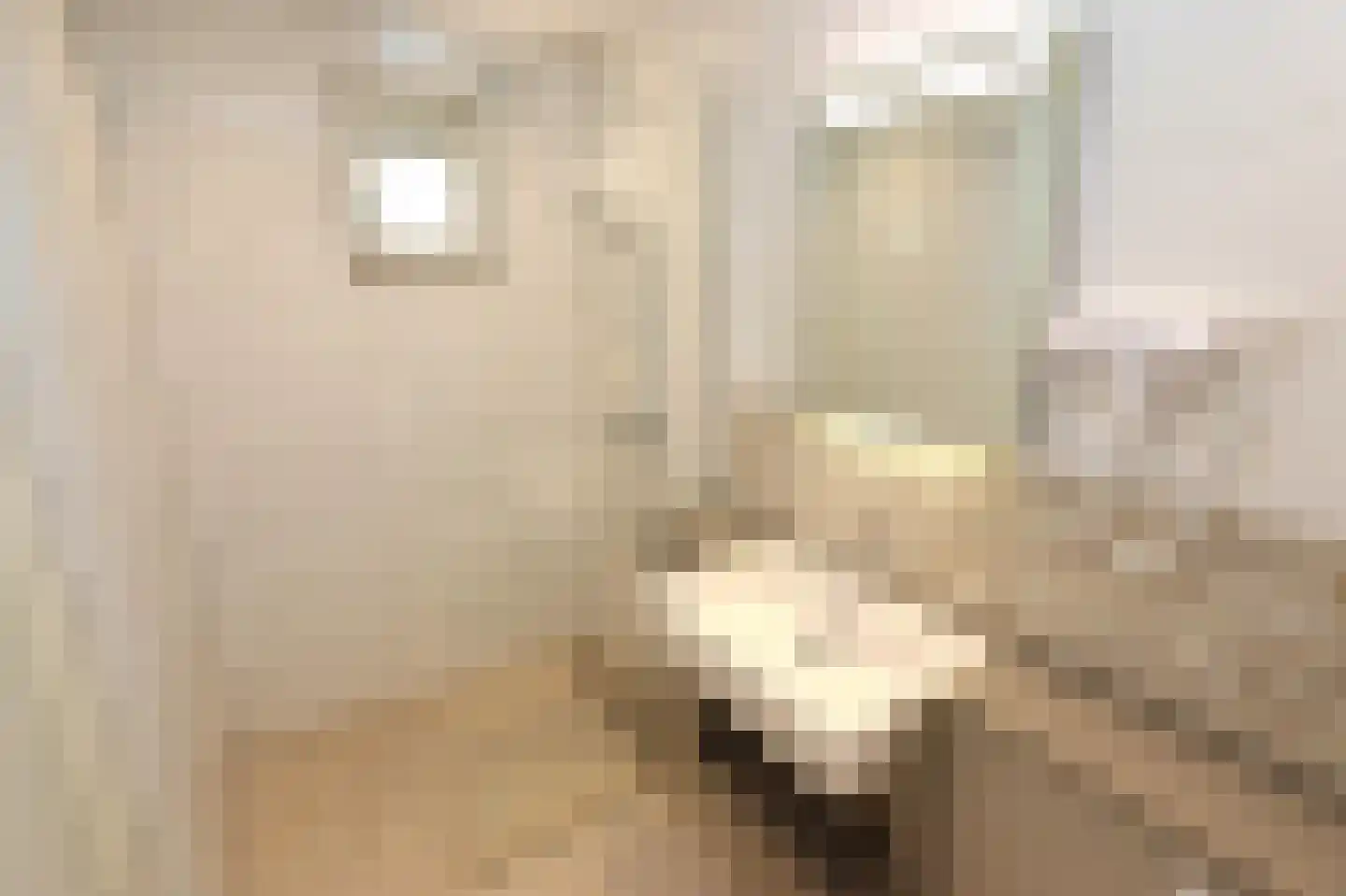 Eversdijk 6 a ZH28 Enter thumbnail 15