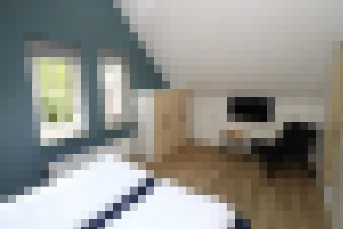 Eversdijk 6 a ZH28 Enter thumbnail 18