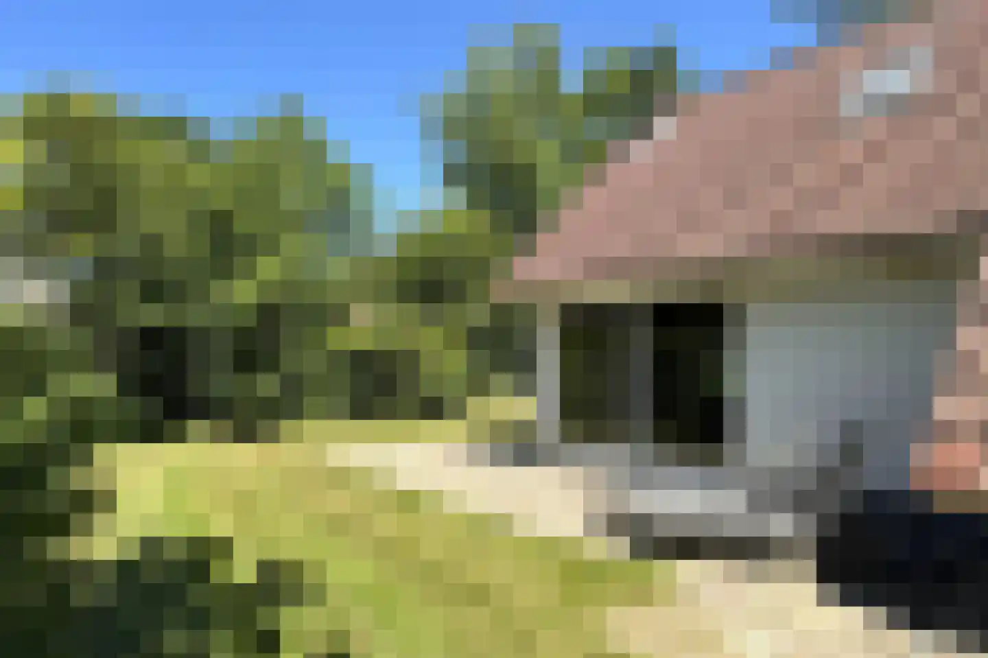 Eversdijk 6 a ZH28 Enter foto 2