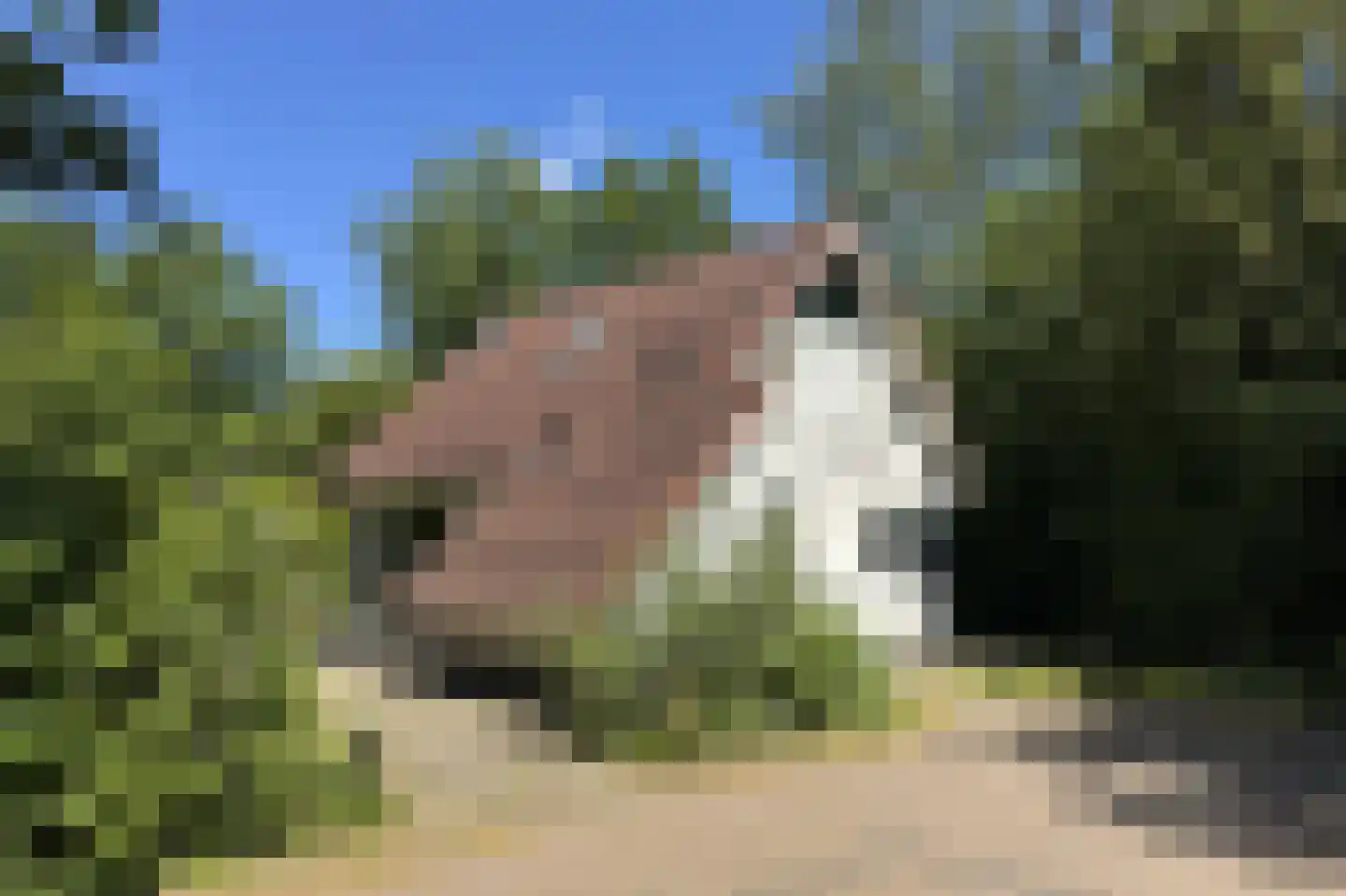 Eversdijk 6 a ZH28 Enter foto 3