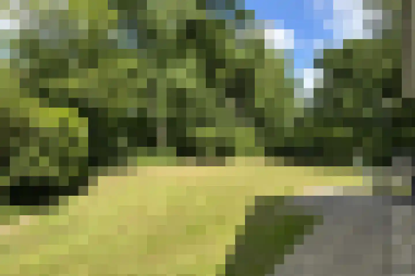 Eversdijk 6 a ZH28 Enter thumbnail 7