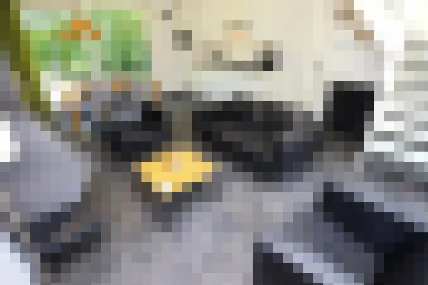 Eversdijk 6 a ZH28 Enter thumbnail 8