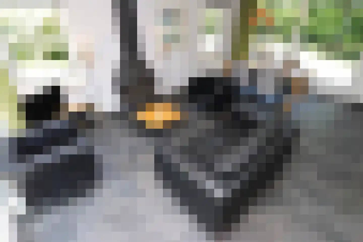 Eversdijk 6 a ZH28 Enter thumbnail 9