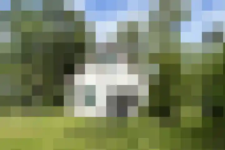 Eversdijk 6 a ZH76 Enter thumbnail 17