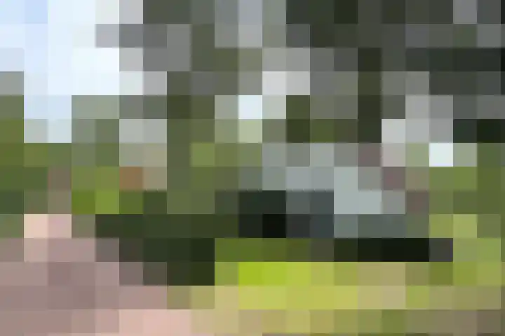 Eversdijk 6 a ZH76 Enter thumbnail 4