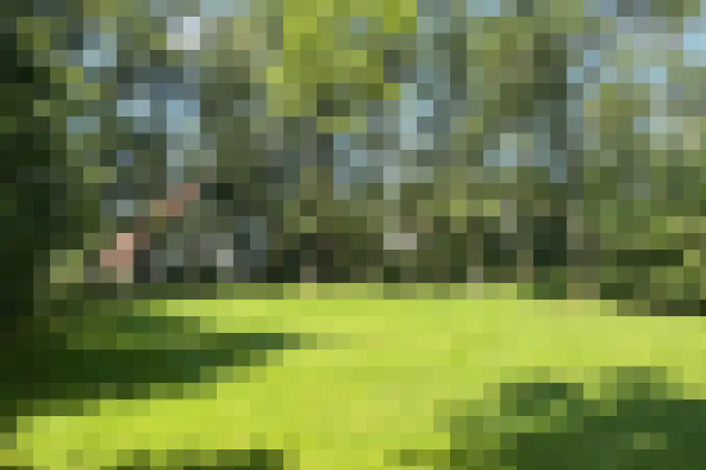 Eversdijk 6 a ZH84 Enter thumbnail 5