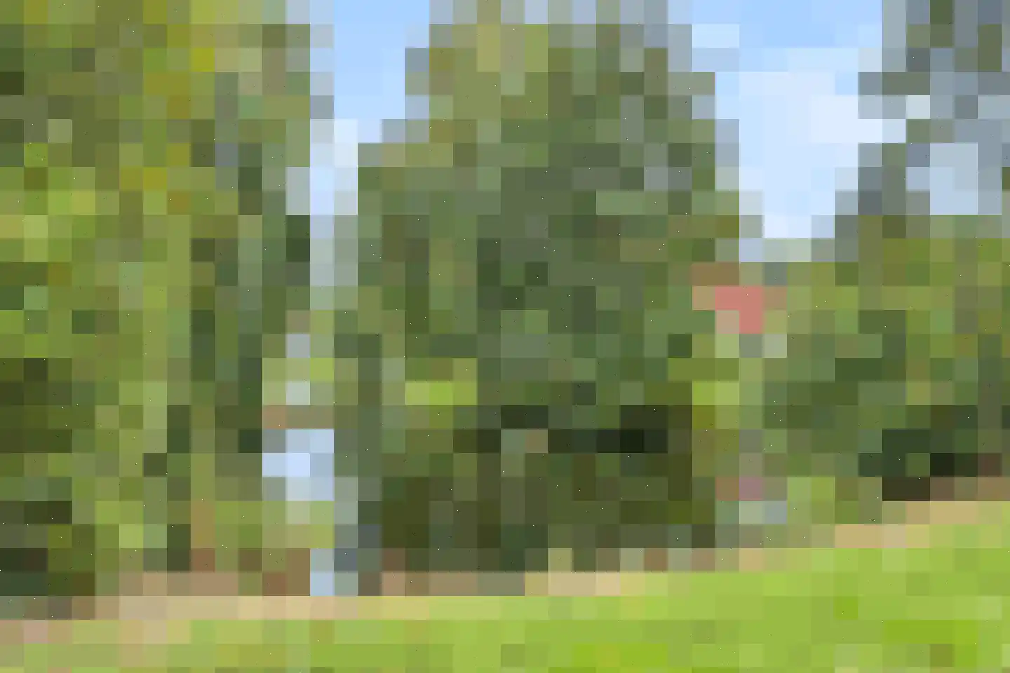 Eversdijk 6 a ZH93 Enter thumbnail 5