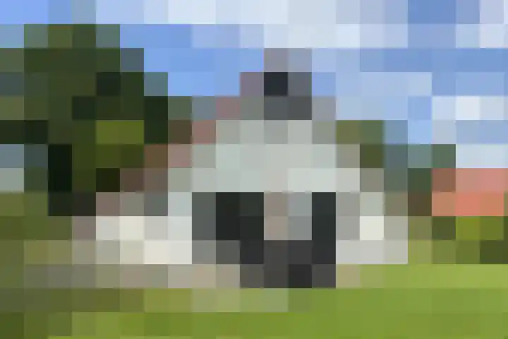 Eversdijk 6 a ZH94 Enter foto 2